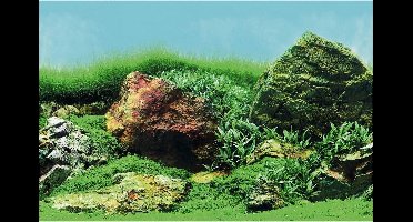 Superfish Deco Poster - Aquarium - Ornament - 120x49 cm Aquascape Plant