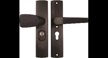 AXA Premium veiligheidsbeslag - Knop/Kruk - kerntrekbeveiliging - PC55 - SKG*** - F8 Zwart