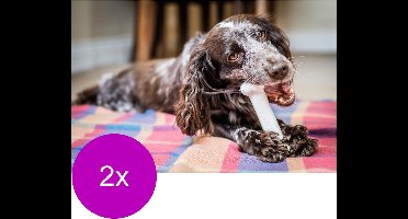 Nylabone Durachew Bone Wolf M - Hondenspeelgoed - 2 x Wit