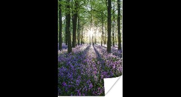 Poster Allemaal bomen met daartussen paarse sterhyacinten - 20x30 cm