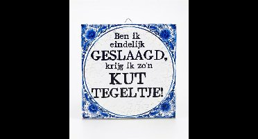 Tegels delfts blauw - Geslaagd Kut