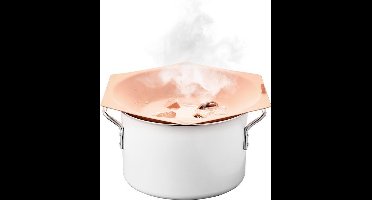 Escentiall. Pruttulhulp - Overkookdeksel Stoompan - Perzikroze - Deksel - Koken - Anti overkoken