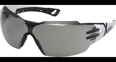 Uvex pheos cx2 9198-237 veiligheidsbril