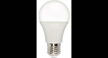 LED Lamp - Kozolux Runi - E27 Fitting - 12W - Helder/Koud Wit 6400K