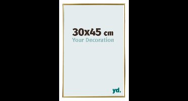 Your Decoration - Fotolijst 30x45 cm - Kunststof - Goud - Evry