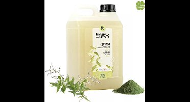 Marseille zeep douche shampoo 3 LITER met biologisch klei en verbena | Rampal Latour