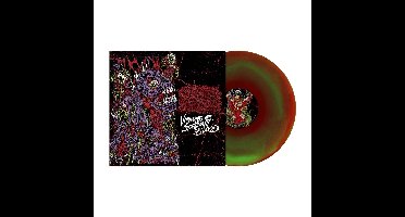 Celestial Sanctuary - Visions Of Stagnant Blood (LP)
