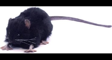 Rat Knuffel zwart, 12 cm, Hansa