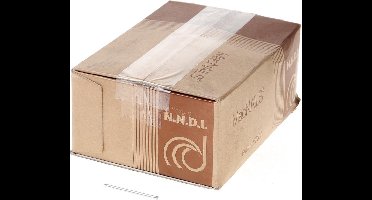 Van der Loo Draadnagel verloren kop gegalvaniseerd 2.4 x 50mm