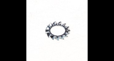 Kelfort Buitentandveerring verzinkt m12