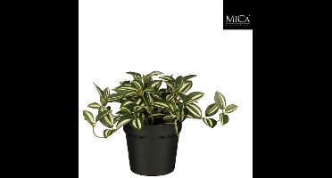 Mica Decorations Tradescantia in pot groen - h16xd16cm