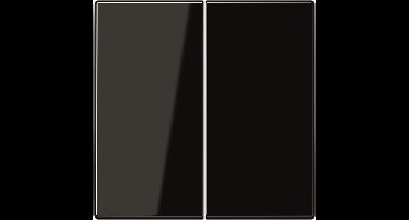 Jung LS990 Bedieningselement/Centrale Plaat LS995SW - E2AK5