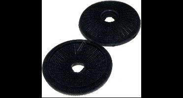 Sauter Koolstoffilter 74X3895 / AK214AP1