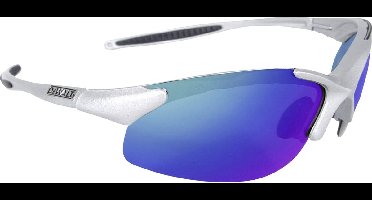 DeWALT veiligheidsbril DPG90S-7D - Anti condenscoating - Blauw glas - Zilver