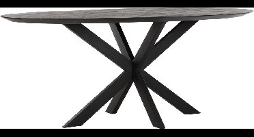 DTP Home Eettafel Ovaal teakhout zwart – 200x78 cm