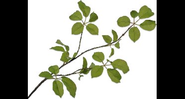 Silk-ka Kunstbloem-Zijden Bloemen Bladtak Groen 91 cm