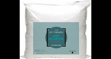 Pillow 60 x 60 cm (2 Units)