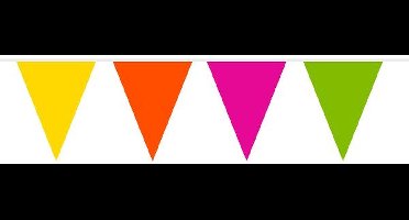 Folat - Vlaggenlijn meerkleurig - 10 meter