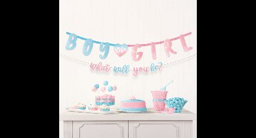 Riethmuller - Gender Reveal - Bannerset Boy or Girl