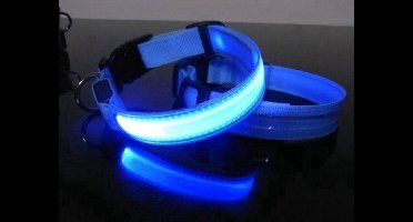 *** Verlicht je hond's avonds met de Blauwe LED halsband - Maat S - 3 standen - Voor veilige wandelingen in het donker - Van halsband tot tuigje - LED verlichting voor jouw trouwe viervoeter van Heble