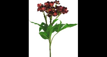 Buitengewoon de Boet - Kunstbloem Helleborus niger spray red 59 cm