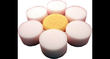 Schmink Spons Setje - Sponzen Set Bloem - Sponsbloem 7 stuks