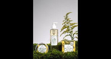 Linden Flower Shampoo With Nordic Birch Extract – 250ml