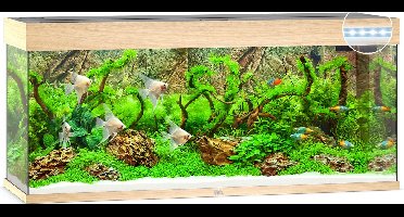 Juwel Rio 240 LED Aquarium - Houtkleur - 240L - 121 x 41 x 50 cm