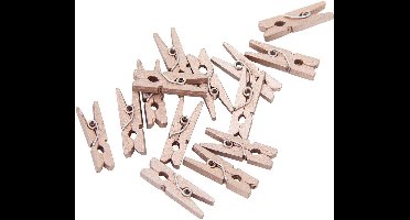 24 Mini houten knijpers Rosé Goud - Feest Thema Polaroid Foto Ophangen Klein Knijper