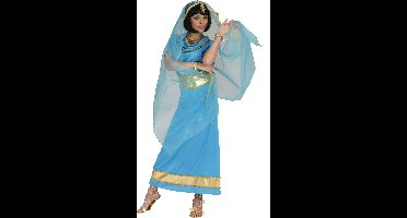 Indiase verkleed jurk Anandi