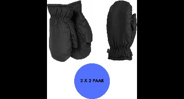 Heatkeeper - Mega thermo wanten heren - Zwart - S/M - 2-Paar - Handschoenen winter