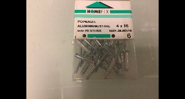 Homefix.Popnagels aluminium/staal4.0 x 16 mm. 20 stuks klink nagels.
