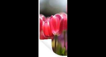 Muurstickers - Sticker Folie - Roze tulpenbloemen - 20x40 cm - Plakfolie - Muurstickers Kinderkamer - Zelfklevend Behang - Zelfklevend behangpapier - Stickerfolie