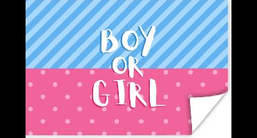 Poster Jongen - Meisje - Boy of Girl - Gender reveal - Spreuken - Zwanger - Baby - 30x20 cm