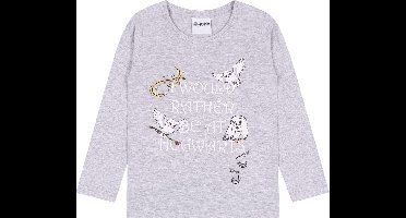 Grijs meisjes t-shirt van Harry Potter / 116 cm