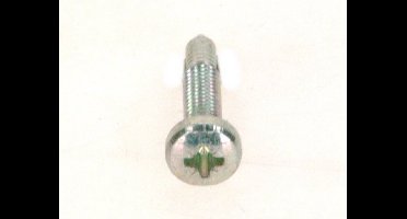 BOSCH Schroef M5X22 (10x), 87134030260