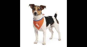 Hofman Animal Care WK Bandana Hond - S - Dierenkleding - Kleding voor Honden - Oranje
