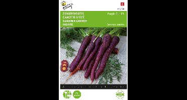 Buzzy Zaden - Wortel, Zomerwortel Purple Elite F1