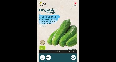 Buzzy Zaden Snackkomkommer Picolino (BIO)