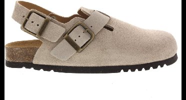 Heren Slippers & Muilen Scholl Scholl Olivier Backstrap Dark Beige - Maat 42