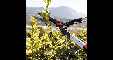 Lexium Telescopische heggenschaar - Telescopische snoeischaar - Telescopische takkenschaar