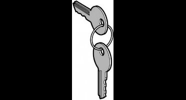 Schneider Electric ZBG455 Sleutel 1 stuk(s)