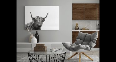 Canvas Schilderij - Hoogland Vee - Wall Art - 150x100x2 cm