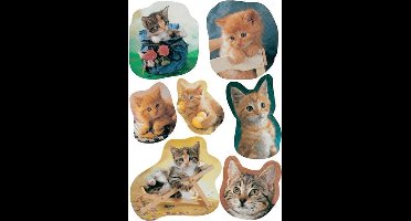 Huismerk Herma 5747 Etiket Kat Foto - Pakje met 3 velletjes stickers