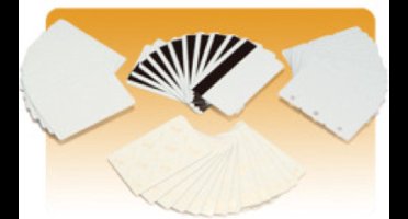 Zebra Premier - PVC-Karten, selbsthaftende Rückseite mit mylar-Beschichtung - 10 mil 100 Stck. (Packung mit 5) - für Ze