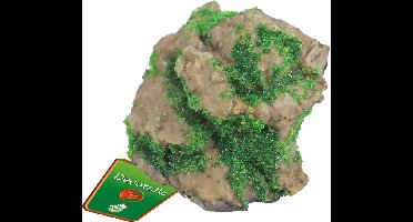 De Boon Rots Met Mos