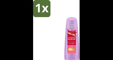 Andrélon Conditioner Levendige Kleur 200 ml - 1 stuk