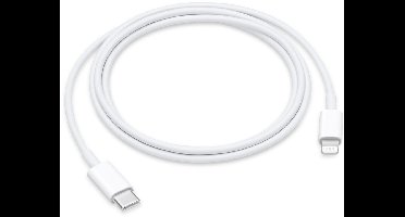 SGS USB-C naar Lightning-kabel 1 meter Zilver