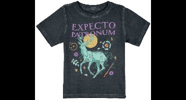 Harry Potter Kids - Expecto Patronum T-shirt - meerkleurig - 104