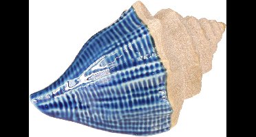 Schelpdecoratie Maritiem Keramiek Blauw Beige 16,5×11×9,5cm 2 st., 2 S